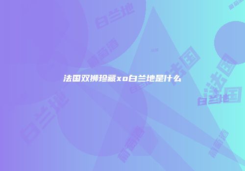法国双狮珍藏xo白兰地是什么