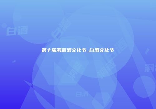 第十届洞藏酒文化节_白酒文化节