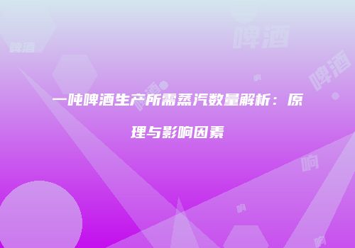 一吨啤酒生产所需蒸汽数量解析：原理与影响因素