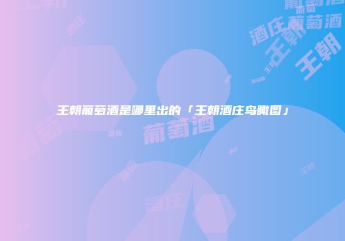 王朝葡萄酒是哪里出的「王朝酒庄鸟瞰图」