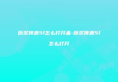 原浆啤酒5l怎么打开盖-原浆啤酒5l怎么打开