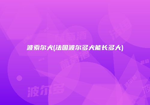 波索尔犬(法国波尔多犬能长多大)
