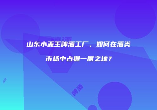 山东小麦王啤酒工厂，如何在酒类市场中占据一席之地？