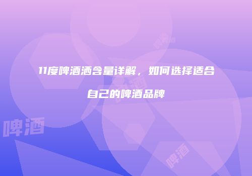 11度啤酒洒含量详解，如何选择适合自己的啤酒品牌