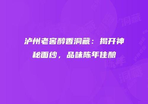 泸州老窖醇香洞藏：揭开神秘面纱，品味陈年佳酿