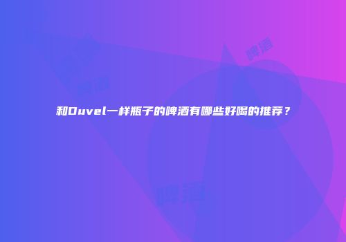和Duvel一样瓶子的啤酒有哪些好喝的推荐？