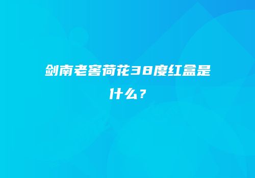 剑南老窖荷花38度红盒是什么？