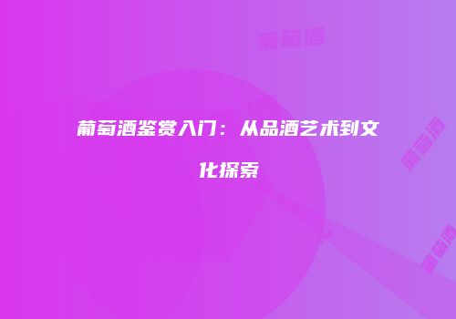 葡萄酒鉴赏入门：从品酒艺术到文化探索