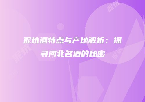 泥坑酒特点与产地解析：探寻河北名酒的秘密