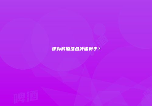 哪种啤酒适合啤酒新手？