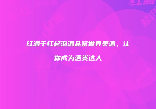 红酒干红起泡酒品鉴世界美酒，让你成为酒类达人