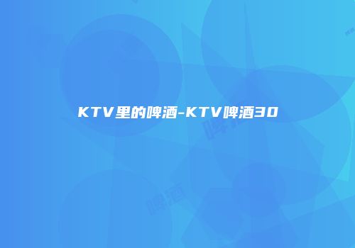 KTV里的啤酒-KTV啤酒30