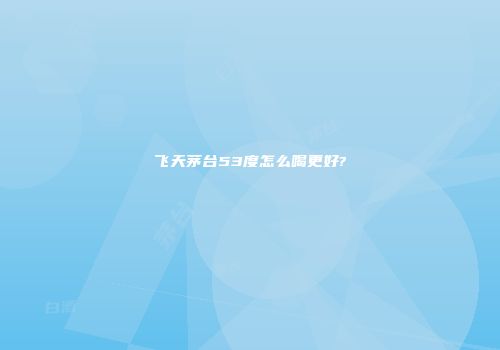 飞天茅台53度怎么喝更好?