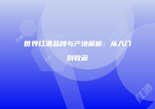 世界红酒品牌与产地解析：从入门到收藏