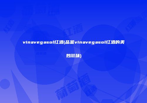 vinavegasol红酒(品鉴vinavegasol红酒的美妙滋味)