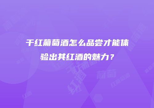 干红葡萄酒怎么品尝才能体验出其红酒的魅力？