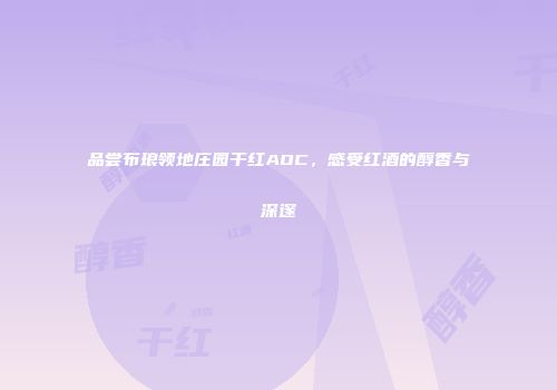 品尝布琅领地庄园干红AOC，感受红酒的醇香与深邃