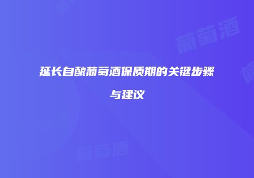 延长自酿葡萄酒保质期的关键步骤与建议