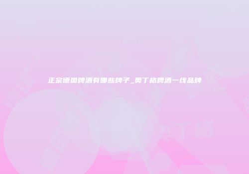 正宗德国啤酒有哪些牌子_奥丁格啤酒一线品牌