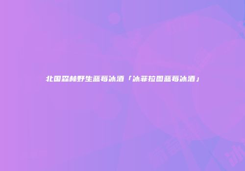 北国森林野生蓝莓冰酒「冰菲拉图蓝莓冰酒」