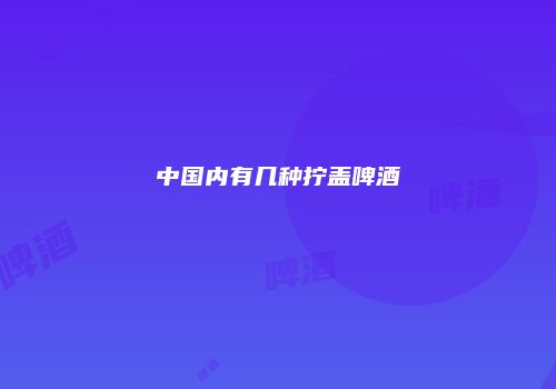中国内有几种拧盖啤酒