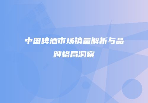 中国啤酒市场销量解析与品牌格局洞察