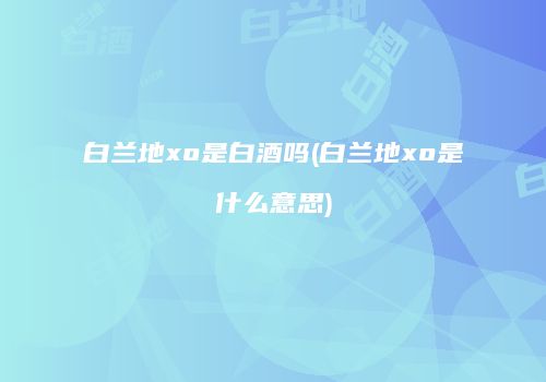 白兰地xo是白酒吗(白兰地xo是什么意思)