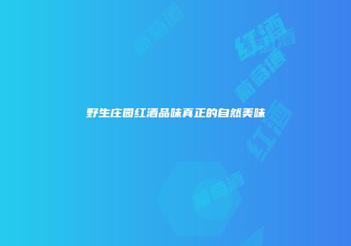 野生庄园红酒品味真正的自然美味