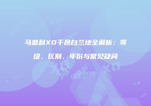 马爹利XO干邑白兰地全解析：等级、区别、年份与常见疑问
