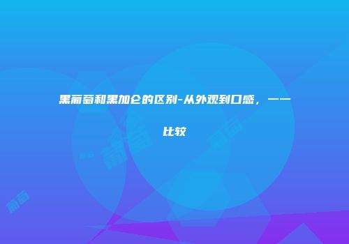 黑葡萄和黑加仑的区别-从外观到口感，一一比较