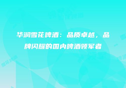 华润雪花啤酒：品质卓越，品牌闪耀的国内啤酒领军者