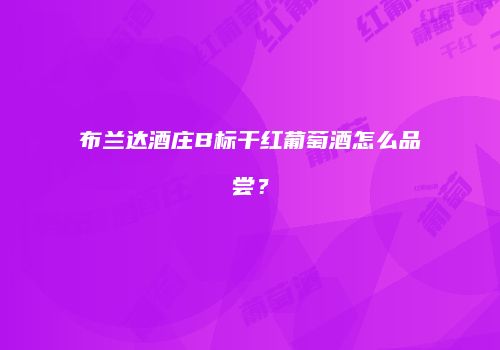 布兰达酒庄B标干红葡萄酒怎么品尝？
