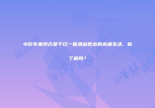 小欧布里昂古堡干红一瓶酒品尝出的高端生活，你了解吗？