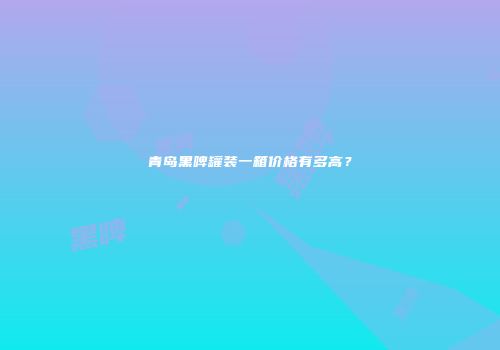青岛黑啤罐装一箱价格有多高？