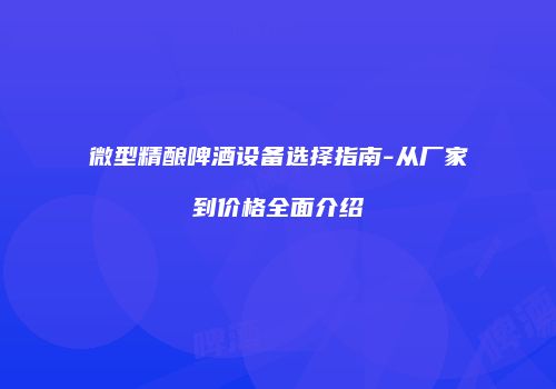 微型精酿啤酒设备选择指南-从厂家到价格全面介绍