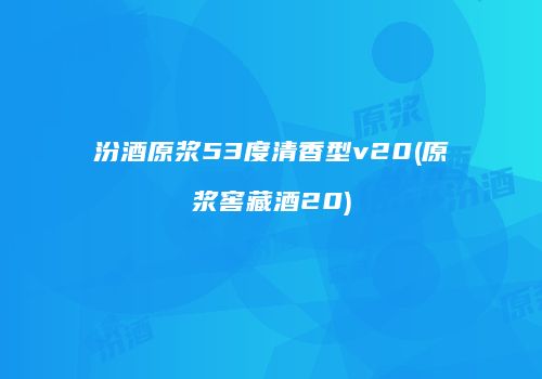 汾酒原浆53度清香型v20(原浆窖藏酒20)