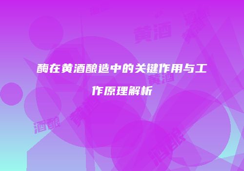 酶在黄酒酿造中的关键作用与工作原理解析