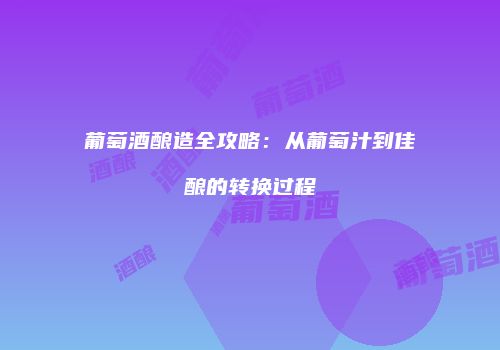 葡萄酒酿造全攻略：从葡萄汁到佳酿的转换过程