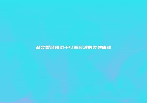 品尝智经梅洛干红葡萄酒的美妙体验