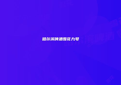 哈尔滨啤酒雪花九号