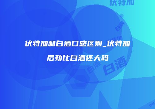 伏特加和白酒口感区别_伏特加后劲比白酒还大吗