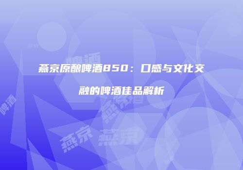 燕京原酿啤酒850：口感与文化交融的啤酒佳品解析