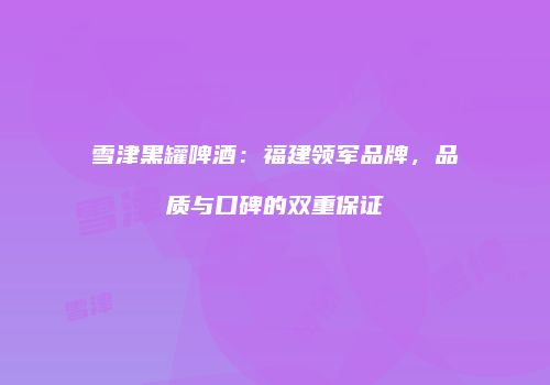 雪津黑罐啤酒：福建领军品牌，品质与口碑的双重保证