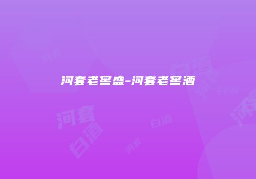 河套老窖盛-河套老窖酒
