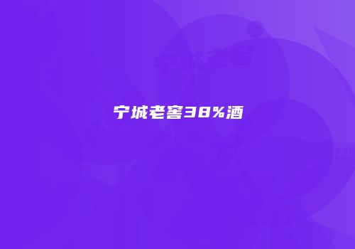 宁城老窖38%酒