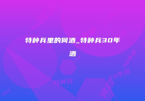 特种兵里的何酒_特种兵30年酒
