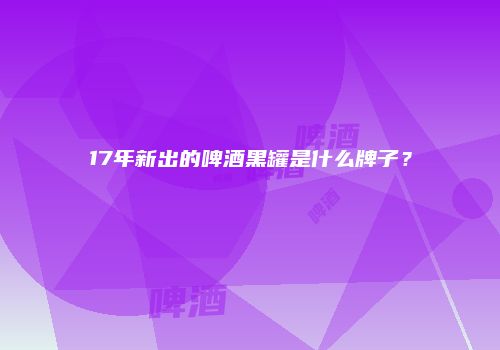 17年新出的啤酒黑罐是什么牌子？