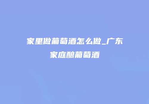 家里做葡萄酒怎么做_广东家庭酿葡萄酒