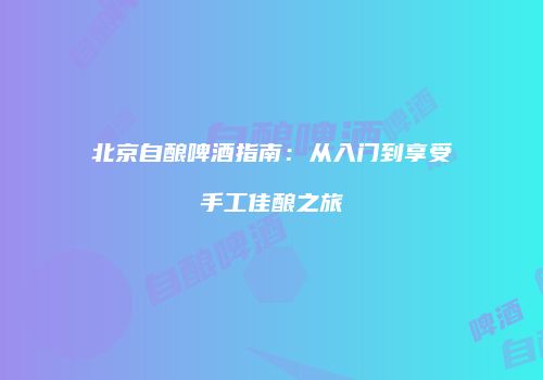 北京自酿啤酒指南：从入门到享受手工佳酿之旅