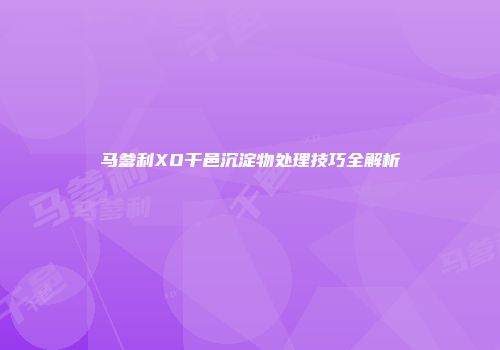 马爹利XO干邑沉淀物处理技巧全解析